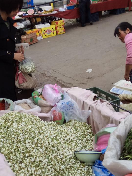 农村大姐进城卖野菜，一天工作14小时，卖光全部能收入200元