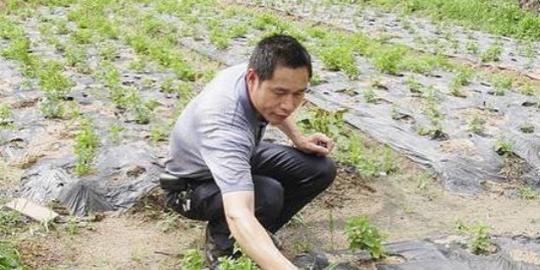 2017农民为何赚钱难？农资成本增加或是一大原因，还有这两点