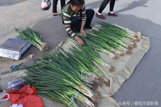 6旬大妈独自一人街上摆地摊卖小葱，一天卖200多斤，生意红火