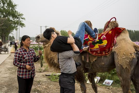 夫妻靠一只骆驼经营摄影生意，农村是个大市场，年入十万元
