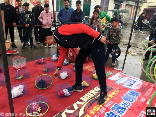 几颗瓜子骗500元，神鸟可以通古今，这些年遇到的“街头骗术”