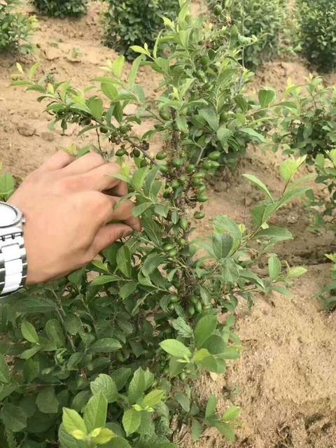 补钙只知道吃钙片怎么能叫补钙