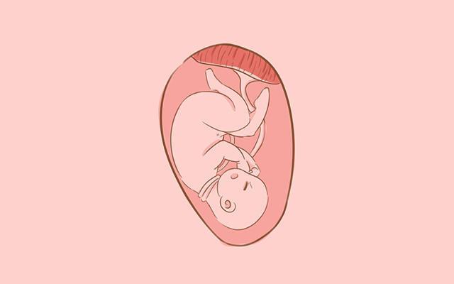 胎儿左肾盂分离是什么意思