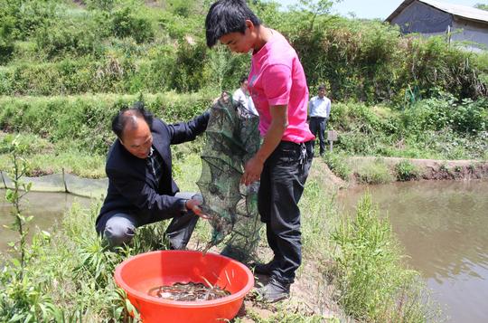 农民注意了：现在农村这几个项目很赚钱，别再搞特养了！拿走不谢