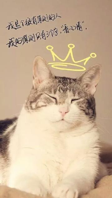 贱人就是矫情表情包华妃