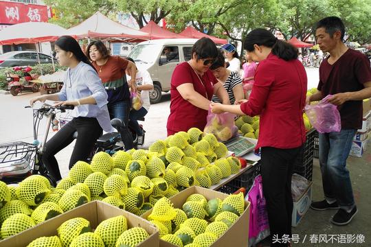 70后夫妻端午节集上卖甜瓜，先尝后买，生意红火