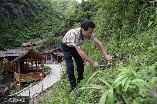 广西桂林：男子花百万建山间别墅，至今零宣传入不敷出，创业难