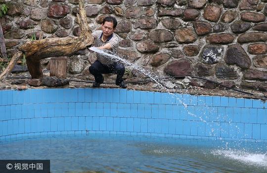 广西桂林：男子花百万建山间别墅，至今零宣传入不敷出，创业难
