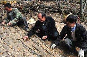 不要再欺骗农民了，农村中的这些致富骗局，以后不要再上当了