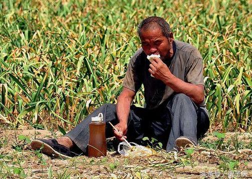未来在农村干什么最赚钱？这三个创业致富之路你知道吗？