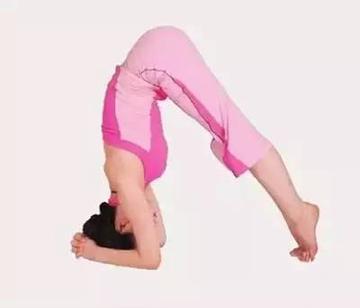  朱珠蝎子式跪姿