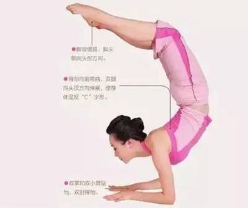  朱珠蝎子式跪姿