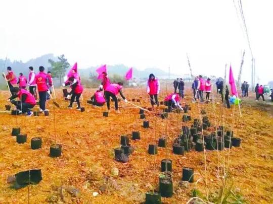 今日头条｜县领导带头植树！让我们一起为常山添绿～