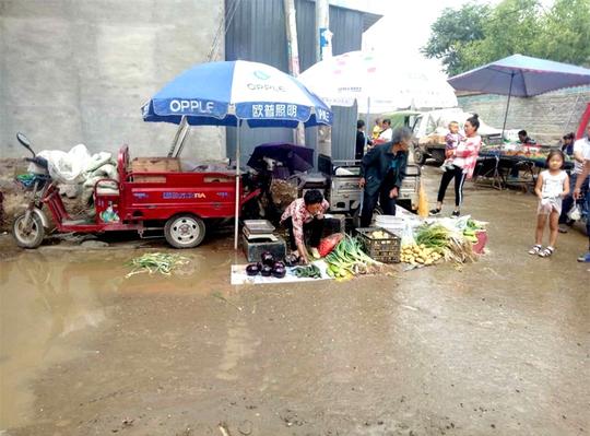 农村大集雨后萧条，卖菜老人很发愁，但为了生计风雨无阻