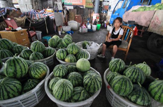 阴雨连日天气凉爽西瓜销售遇冷拐点在哪儿？