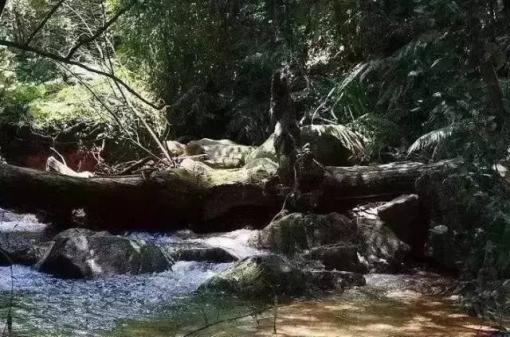 广州这些冷门又绝美的地方，有去过一半吗！