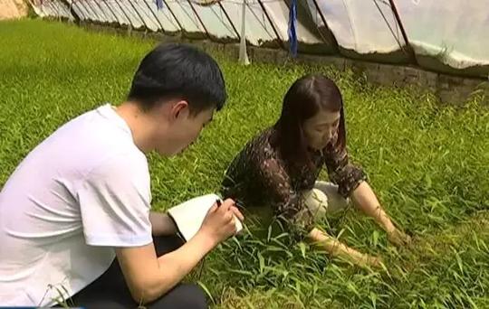 韩小娟巧手嫁接开启创业路