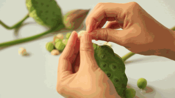 推荐四款夏季幼儿开胃食谱