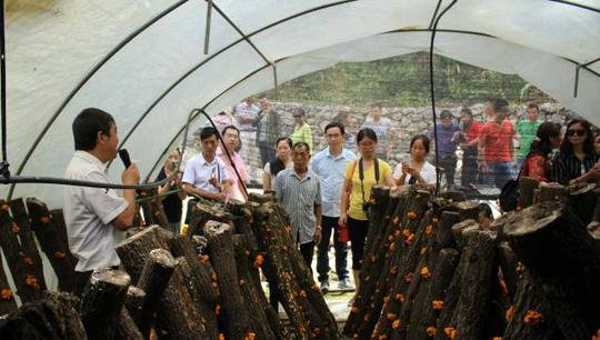 广元市妇联组织广元市巾帼创业互助会召开食用菌发展助力脱贫专题会
