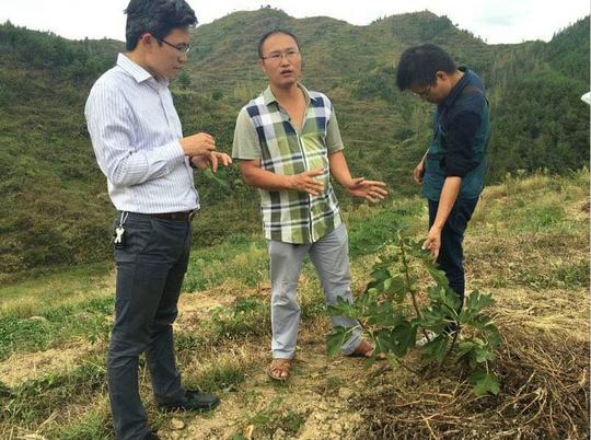 「铜仁脱贫攻坚群英谱」春晖使者戴飞：带富乡亲，回报桑梓