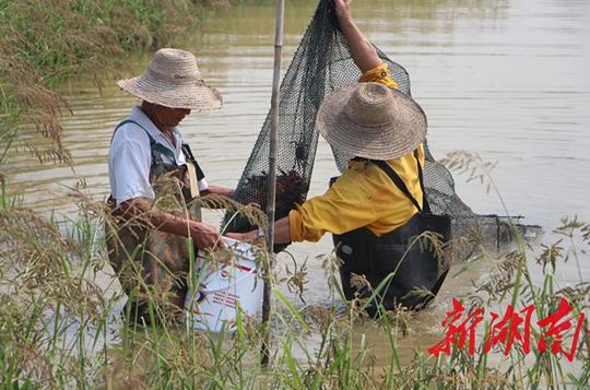 这家企业技术扶贫，让30万水产养殖户走上致富路