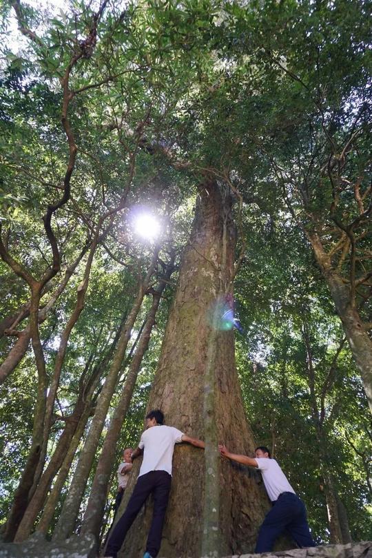 潭头南岩你去过吗？她成为全国示范，获得中央财政补助资金！