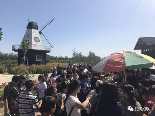 武清区2017年农村实用人才带头人培训班结业啦！更多丰富课程展示