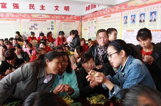 平凉市妇联顶精准，出实招超额完成2017年陇原巧手技能培训任务