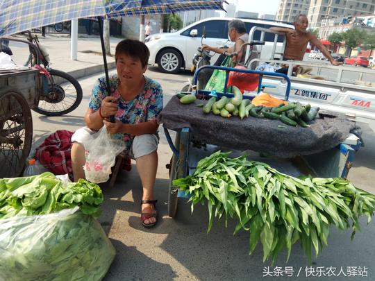 不忍心看，高温下卖菜，每天只赚几十块的小生意人