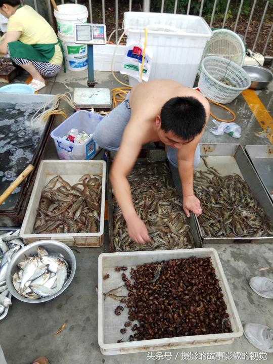 农民很辛苦十二张图，他们做小生意赚钱养家不容易，老奶奶说她今天81岁