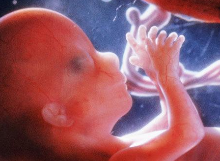 怀胎十月胎儿会做的事情有哪些