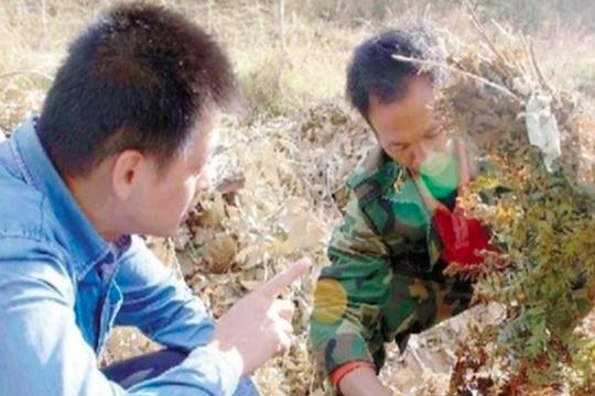 农村新型骗局，签合同回收，就是为了卖农资