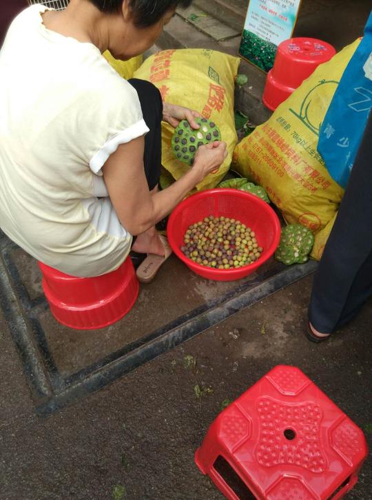 农民夫妻通过发微信朋友圈，莲子每天一大早卖光，生意火爆得让人嫉妒