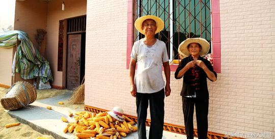 农村夏季“最挣钱的活”，一天150元包吃，做的却全是70岁的老人