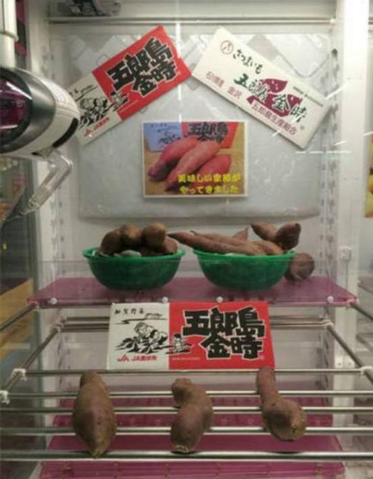 奇葩的物品，你在你们超市的娃娃机里面看到过吗
