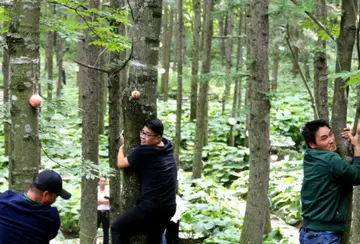 下跌后股票会变现吗吗 下跌后股票会变现吗