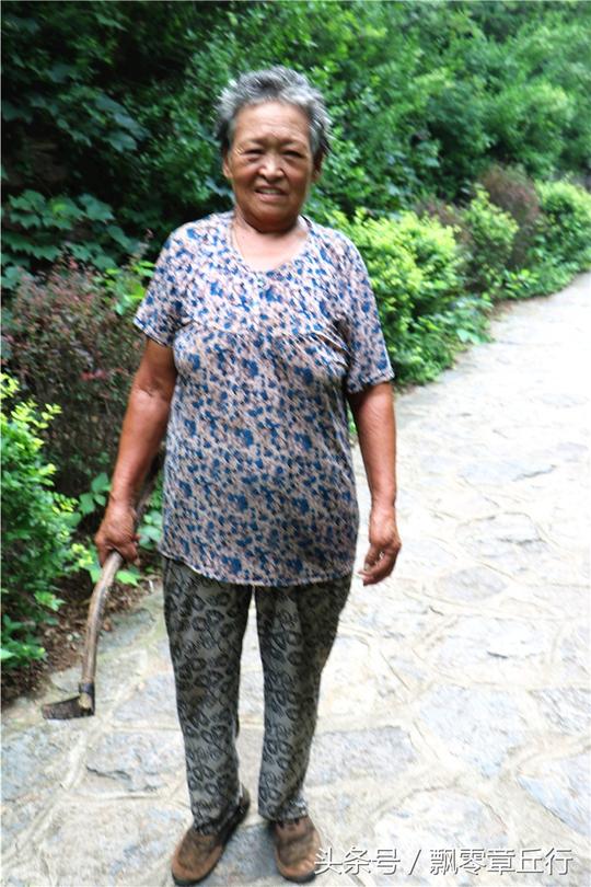 77岁农村大娘早晨7点上山采摘，路边摆摊能挣钱还锻炼了身体