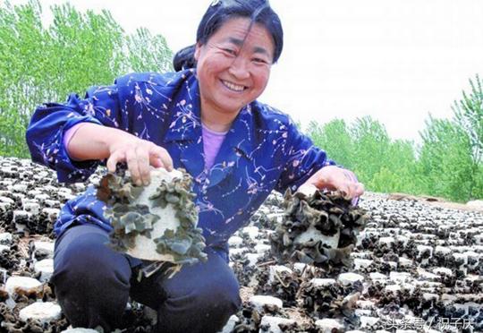 农村有志青年燥起来吧！3项返乡创业政策请收好，好好干发大财！