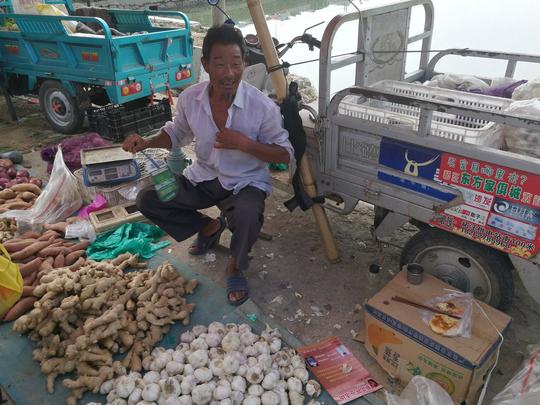 苏北大集卖菜老汉姓董，他说：现在社会好，不懒都能吃上饭