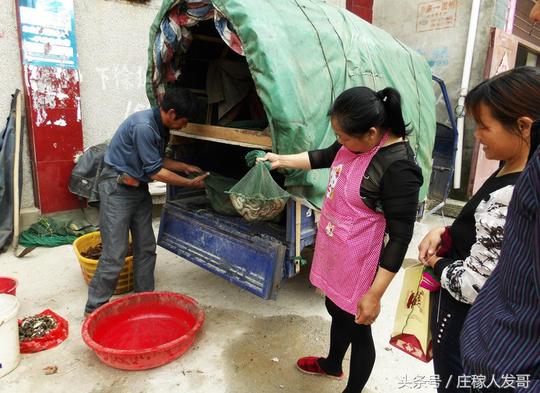城市人把美味拉到农村卖，生意火爆，一小时足足“赚220元”