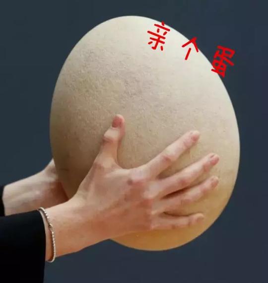 河套方言：巴彦淖尔人最常说的十句话，看不懂的一定是个假巴盟人！