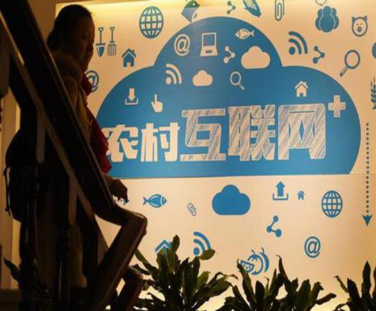 此项目在农村大有发展潜力，农村小伙看中商机靠它盖起两栋别墅