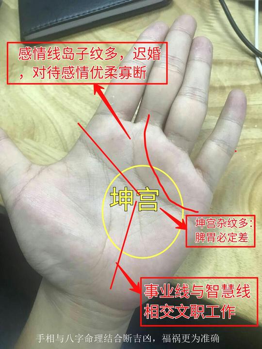 手相：手有元宝纹，衣食无忧满仓财库！