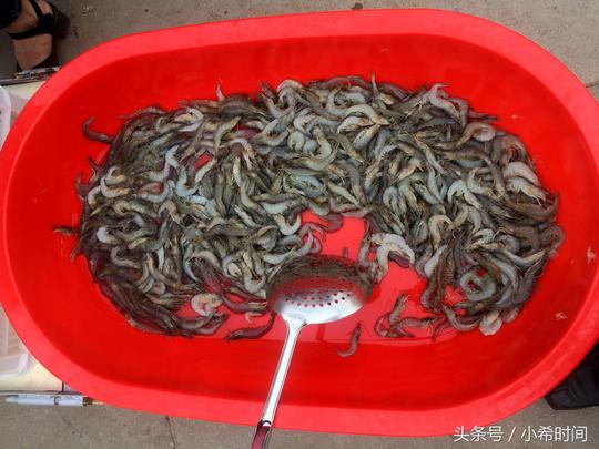 早市的这个生意，批发14元，现捞现卖20元，商贩小哥让人眼红