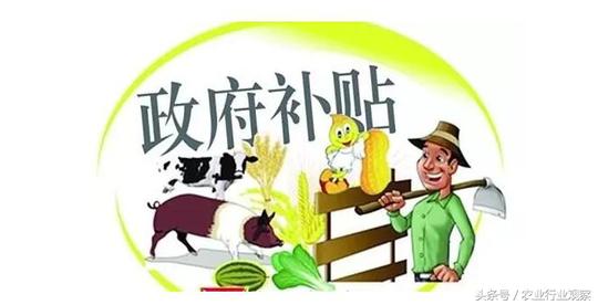 返乡创业政策利好，但依旧赚少赔多，5大干货扭转全局！