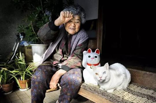 老祖母和一只左右眼不同的白猫