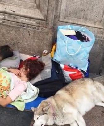 狗不嫌家贫，主人家破产只能流浪街头，狗儿一直没离开