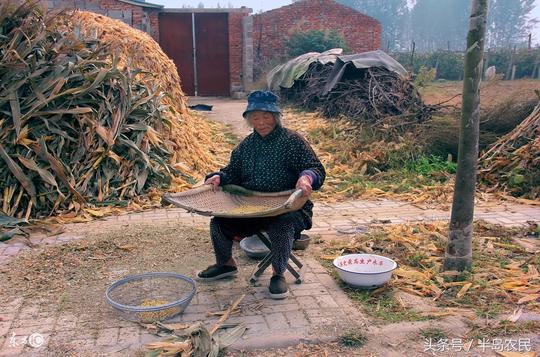 农村有句老话：生意养人地养家，放科技发达的今天依旧有道理啊