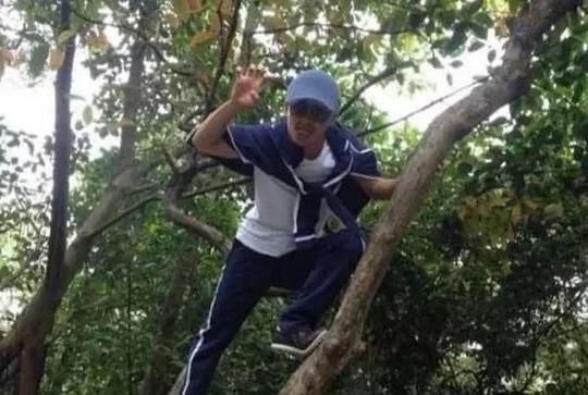 王宝强国庆带父母出游，开心爬上树拍照，网友：果然是农村人！