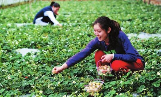 “超级黄金周”你们村赚钱了吗？4600万游客游湖北，乡村游超三成